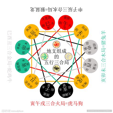 12地支五行|十二地支类象详解 – 十二地支阴阳五行属性